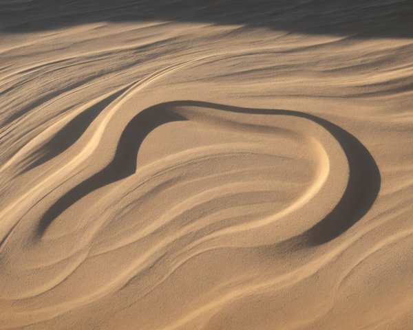 Mesmerizing Landscape of Curved Sand Dunes