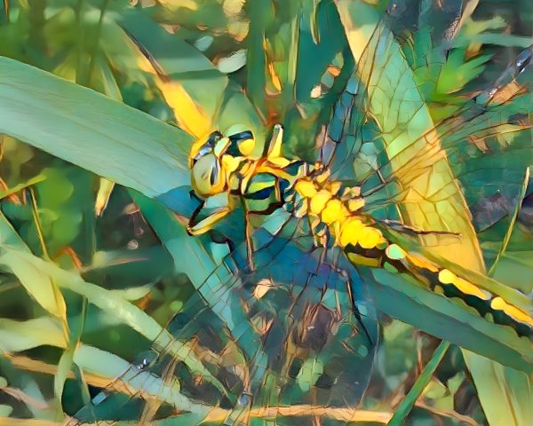 Vibrant Dragonfly on Green Grass with Intricate Wings