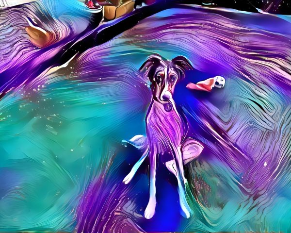 Abstract Colorful Dog on Vibrant Swirling Ground