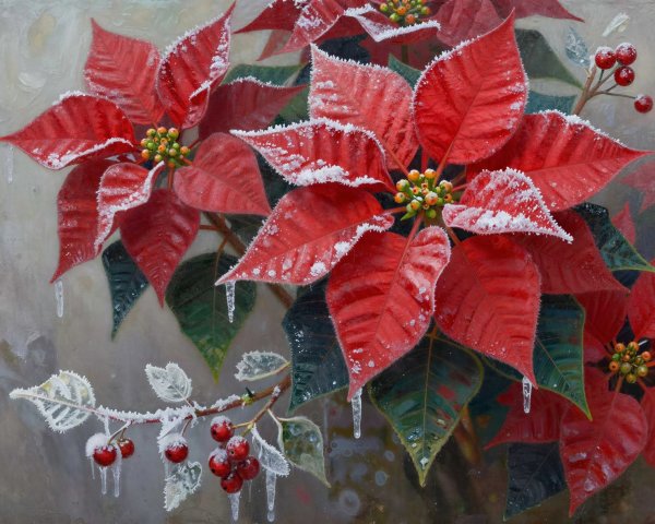 Close-Up of Frosted Poinsettia and Winter Berries