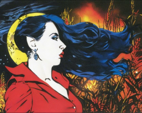 Illustration of a woman with blue hair and golden grasses