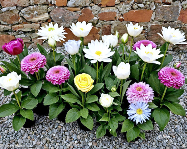 Vibrant Flower Bouquet Against Rustic Stone Wall