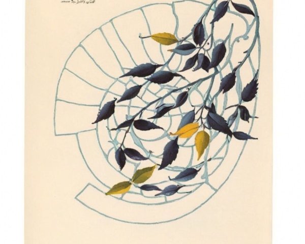 Botanical Illustration of a Graceful Vine Design