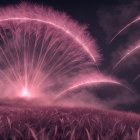 Vibrant Fireworks Create Colorful Night Sky Display