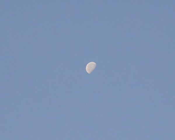 Crescent Moon Illuminated in Clear Blue Sky