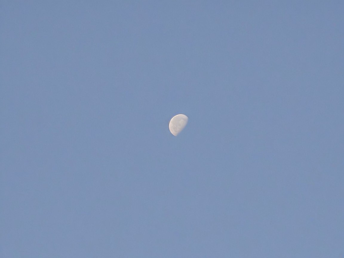 Crescent Moon Illuminated in Clear Blue Sky