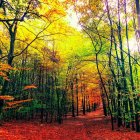 Artistic Portrait of a Young Woman with Red Hair