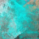 Portrait of a woman with flowers in dark hair