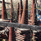 Chickens in a Rustic Farm Setting with Green Foliage