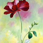 Vibrant Red Poppy with Pastel Background and Buds