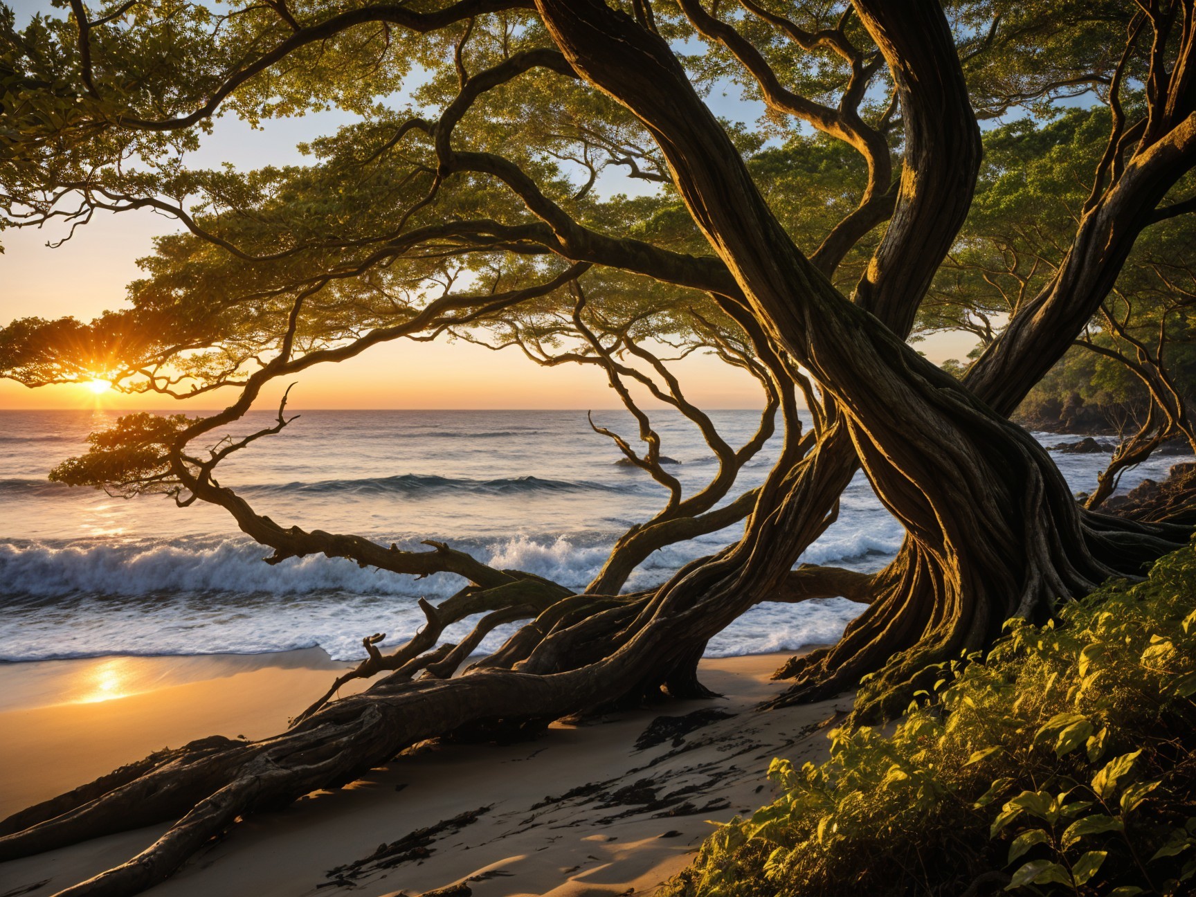 Tranquil Beach Scene at Sunset with Ancient Trees