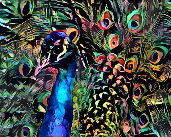 Vibrant Peacock with Colorful Intricate Plumage