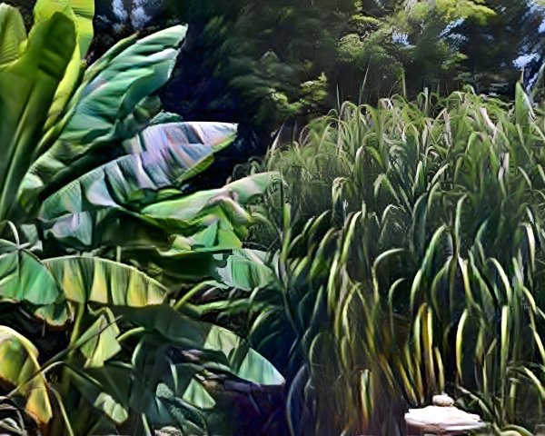 Tropical Greenery with Banana Leaves and Dense Grass