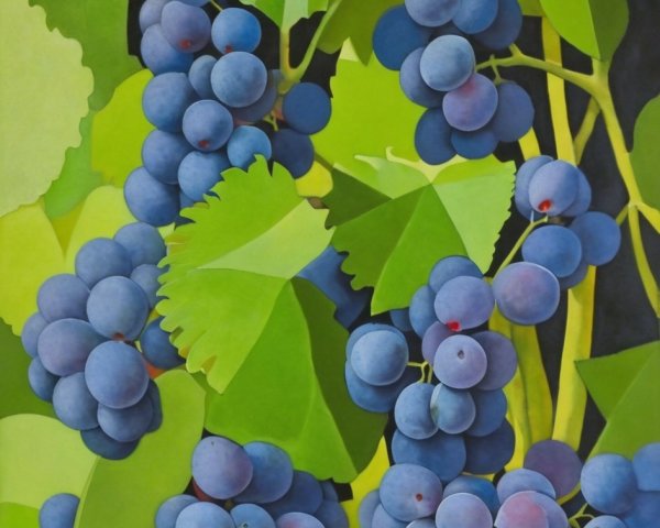 Vibrant Clusters of Ripe Purple Grapes and Green Leaves