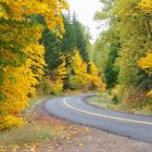 Winding Road Through Vibrant Countryside Landscape