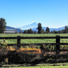 Serene Landscape with Snow-Capped Mountain and Fields