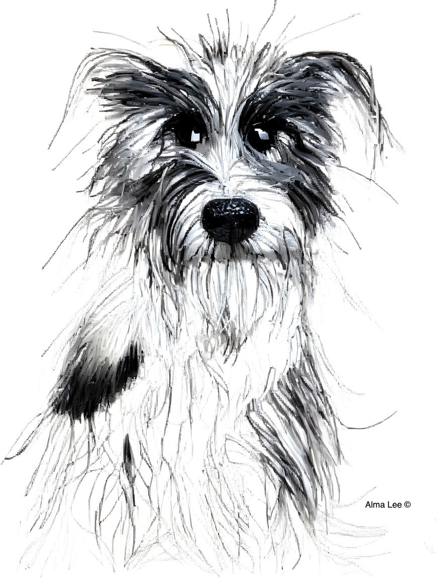 Playful Illustration of a Black and White Dog