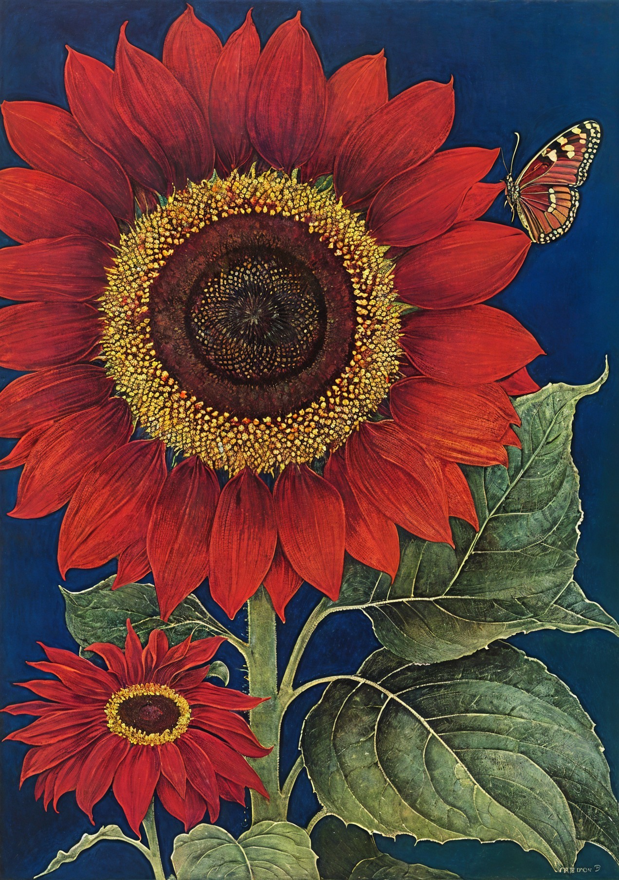 Vibrant Red Sunflowers with Butterfly on Blue Background