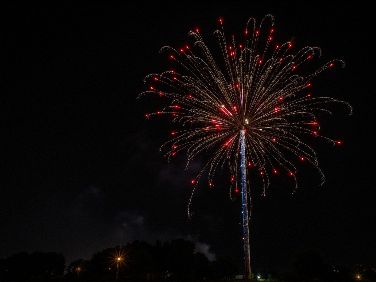 Vibrant Firework Display Resembles Blooming Flower