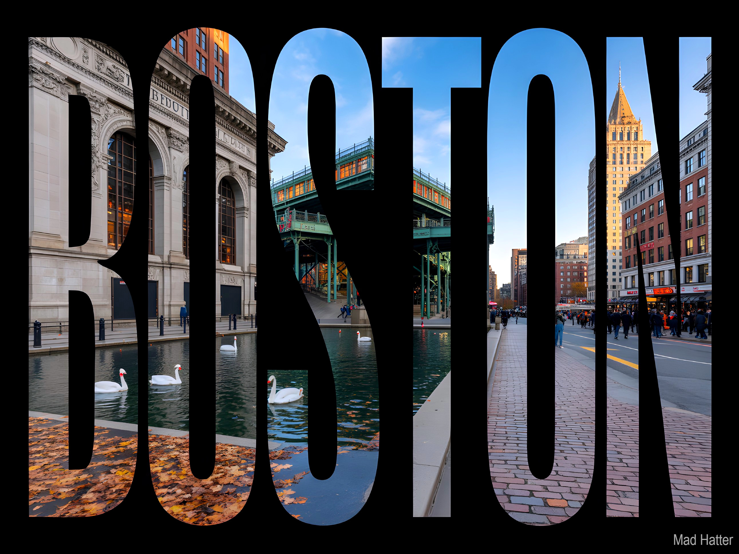 Scenic Boston View with Swans and Autumn Colors