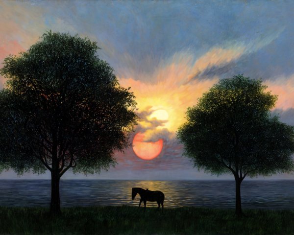 Tranquil Sunset Landscape with Silhouette of Horse