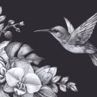 Monochromatic Hummingbird Illustration with Flowers