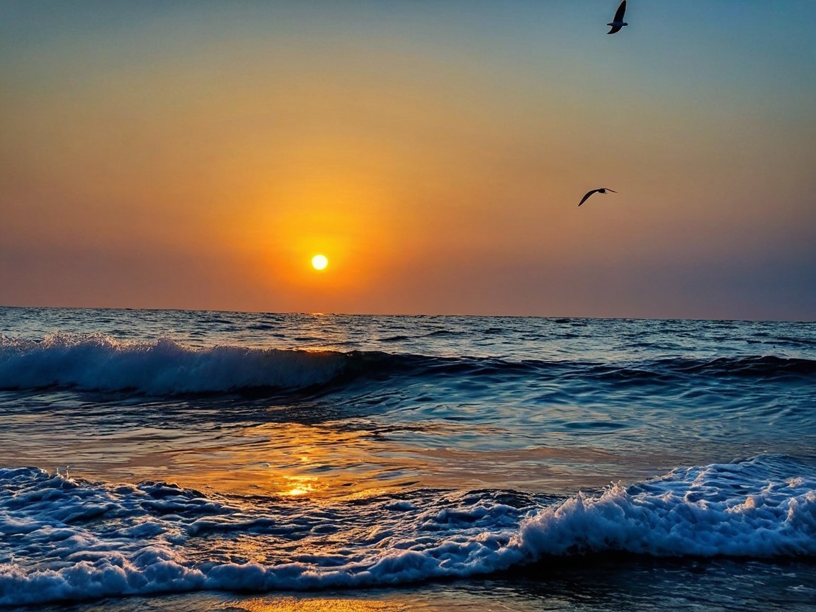 Serene Sunset Over Ocean with Gentle Waves and Birds