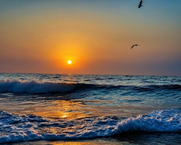 Serene Sunset Over Ocean with Gentle Waves and Birds