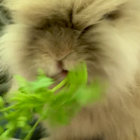 Mystical Landscape with Dark Armored Figure and Trees