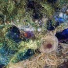 Dreamlike Landscape with Whimsical Patterns and Colors