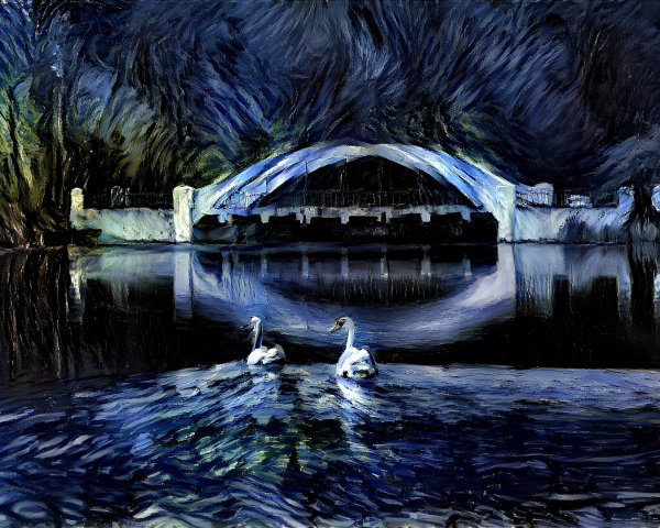 Serene Nighttime Scene with Swans and Illuminated Bridge