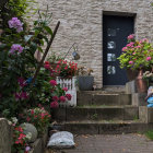 Serene Stone Wall with Blue Door and Green Foliage