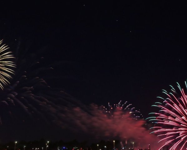 Vibrant Fireworks Illuminate the Night Sky