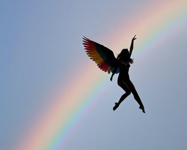 Silhouette with Colorful Wings Against Rainbow Sky