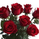 Elegant Deep Red Rose Bouquet with Green Leaves