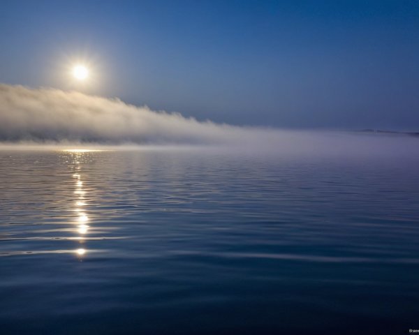 Tranquil Landscape with Reflective Water and Mist