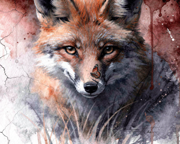 Watercolor painting of a red fox with a butterfly