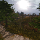 Tranquil Landscape with Winding Dirt Path and Trees