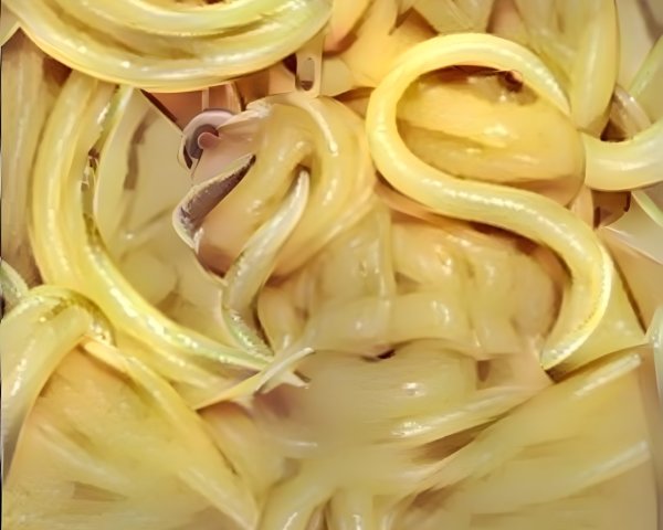 Surreal Composition of Intertwined Golden Pasta Strands
