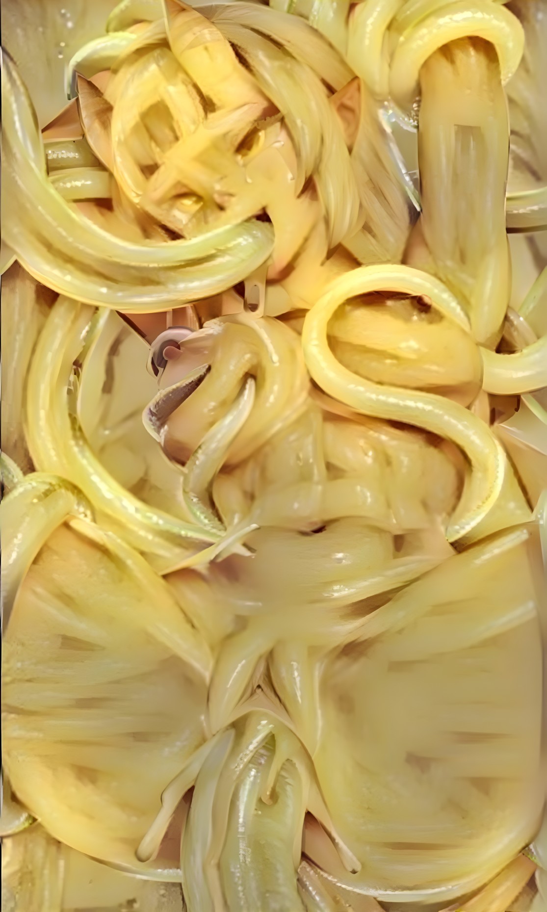 Surreal Composition of Intertwined Golden Pasta Strands