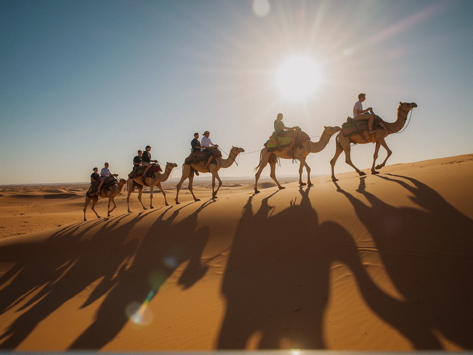 Desert Journey: Camels Across Golden Sands