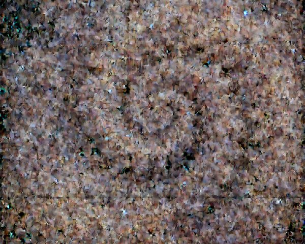 Abstract Texture with Earthy Tones and Patterns