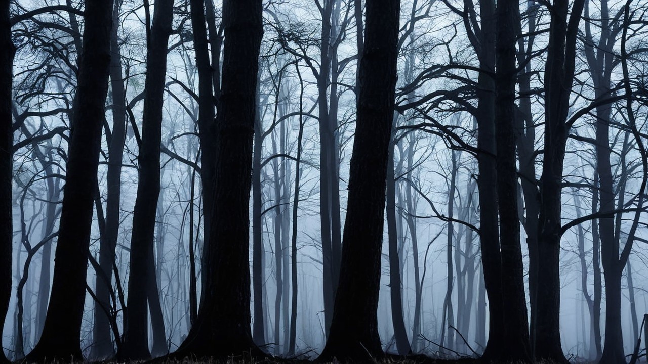 Dense Misty Forest with Tall Gnarled Trees