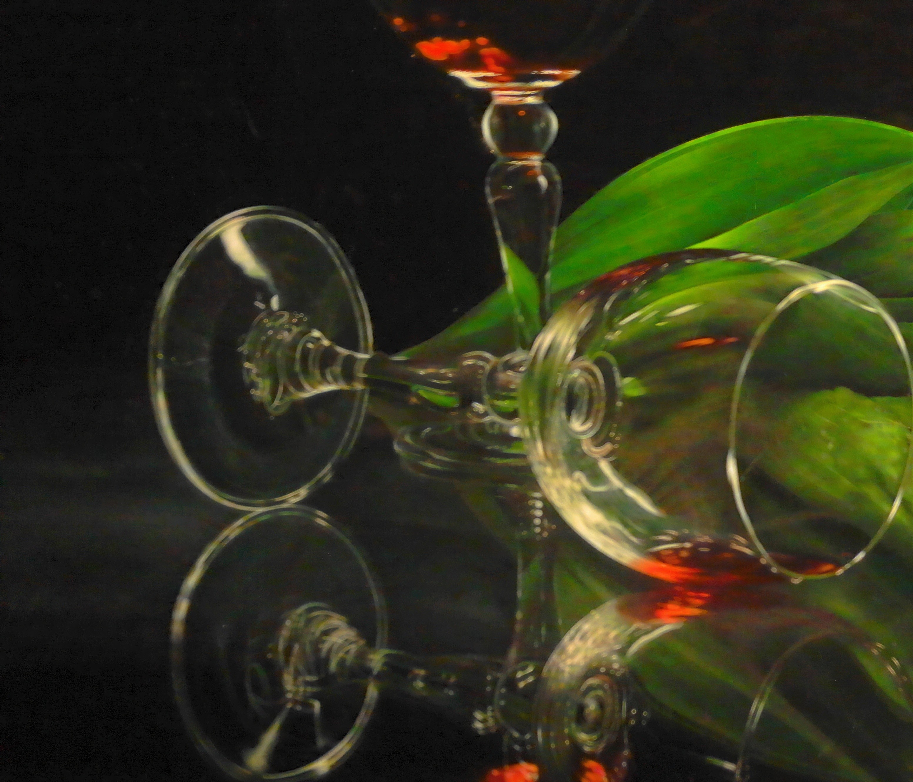 Elegant Glass Still Life with Dark Red Liquid and Leaf
