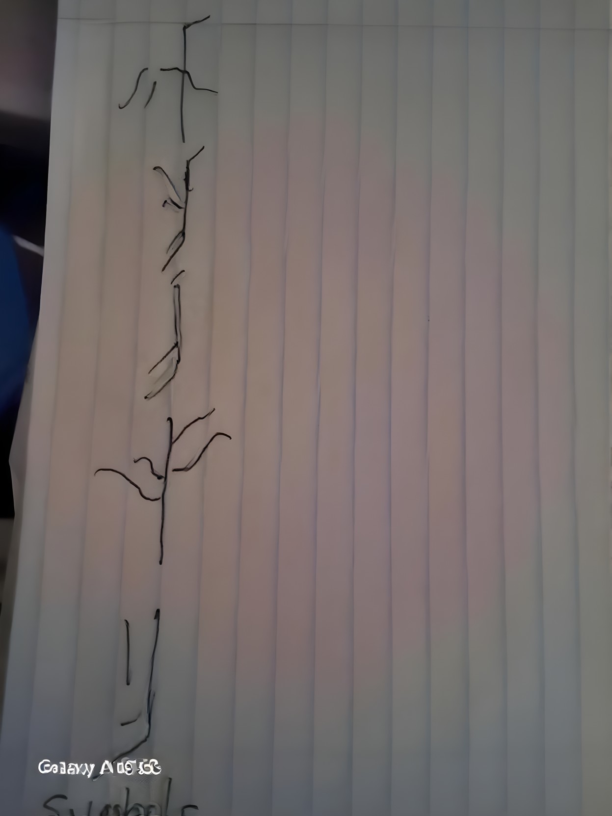 Abstract Line Art on Lined Paper with Soft Illumination