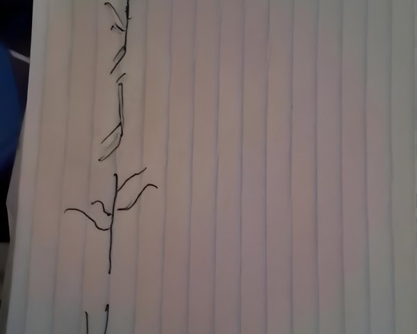 Abstract Line Art on Lined Paper with Soft Illumination