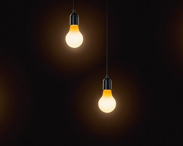 Incandescent Light Bulbs Hanging from Black Wires