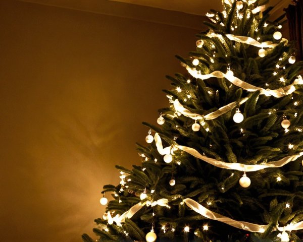 Close-up of a Decorated Christmas Tree with Lights