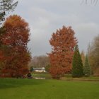 Tranquil Autumn Landscape with Meadow and Foliage