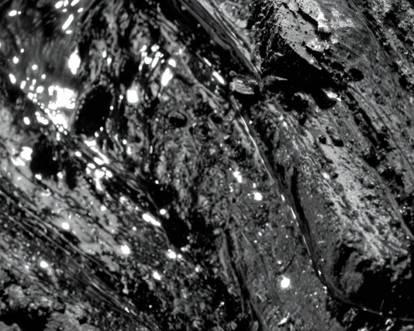 Grayscale Macro Photo of Textured Wet Rock Surface
